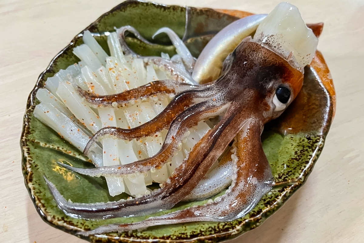 スルメイカの刺身